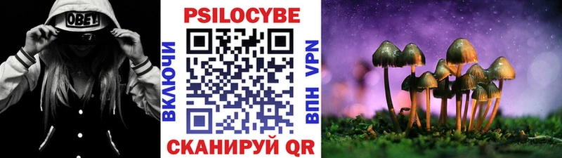 Псилоцибиновые грибы Psilocybe  наркотики  Завитинск 