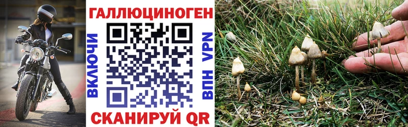 Псилоцибиновые грибы GOLDEN TEACHER Завитинск
